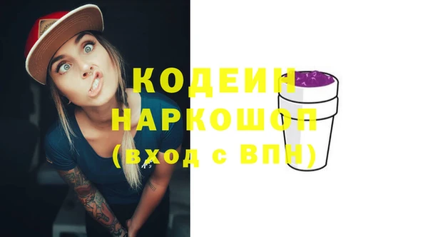молекула духа Михайлов