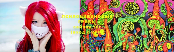 амф Михайловск