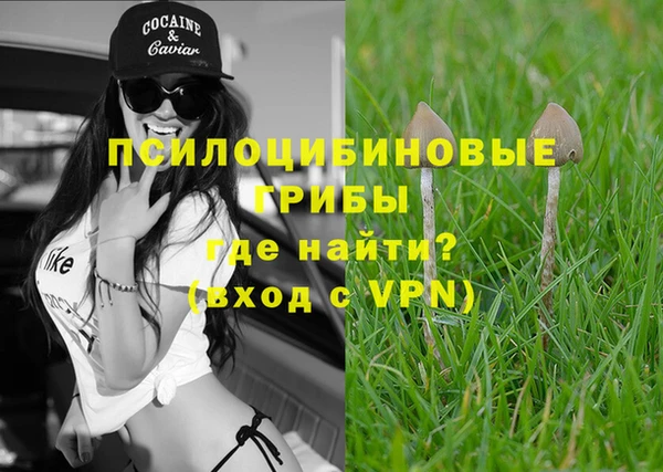 молекула духа Михайлов